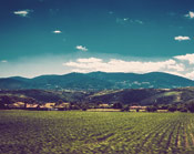 ddos流量攻击购买